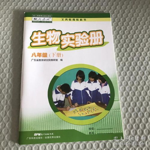 圖書購(gòu)買與廣告設(shè)計(jì) 探索多多圖書旗艦店與孔夫子舊書網(wǎng)的魅力