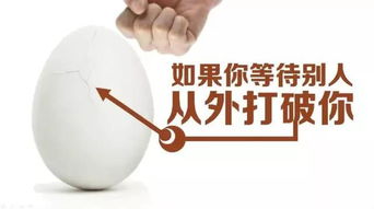 一顆不平凡的雞蛋 如何以微不足道之姿，撬動數(shù)億人的生活杠桿？